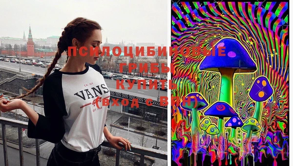 СК Верхний Тагил