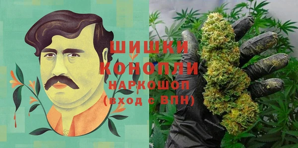 СК Верхний Тагил