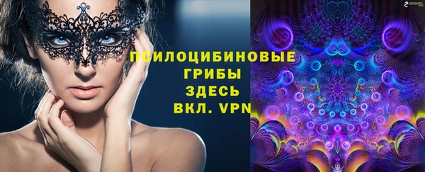 СК Верхний Тагил