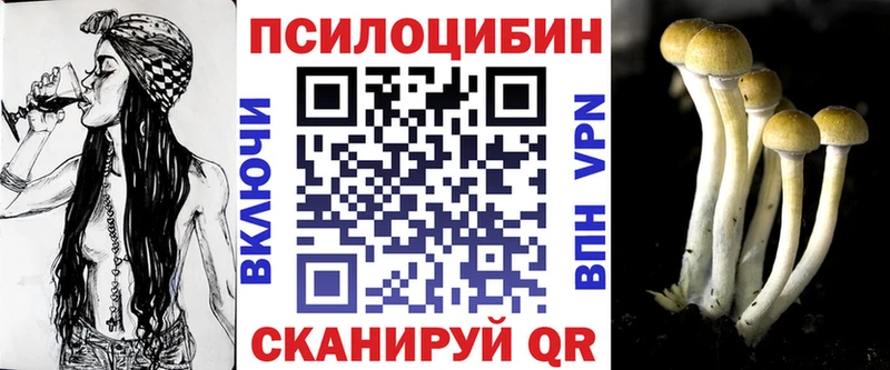 Галлюциногенные грибы Cubensis  Купить где  Саратов 